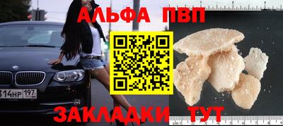 трава Сланцы