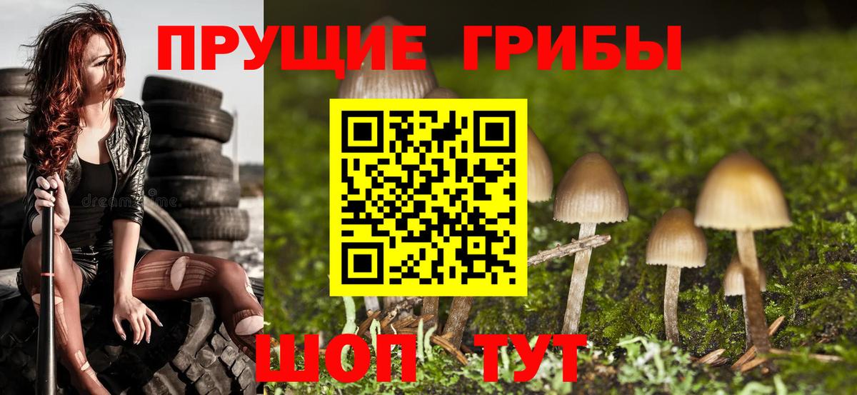 Галлюциногенные грибы прущие грибы Отрадный